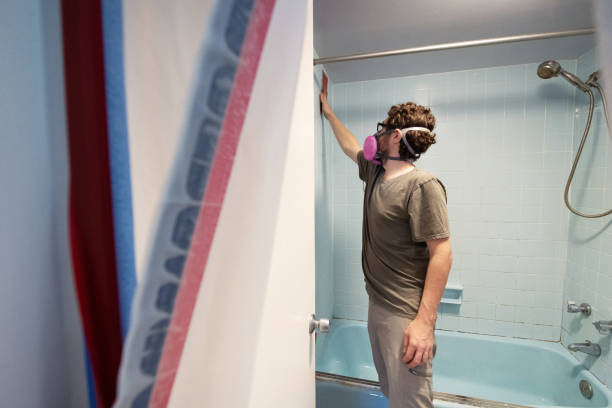 Best Asbestos and Lead Testing During Mold Inspection  in Yosemite Valley, CA
