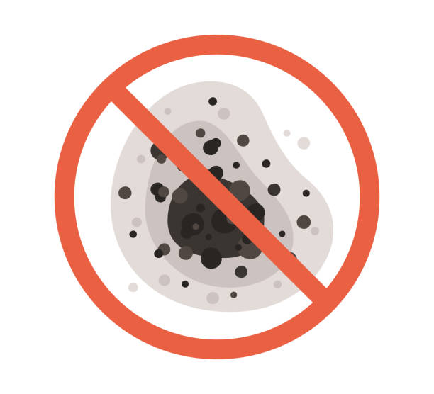 Reliable Yosemite Valley, CA Mold Removal Solutions