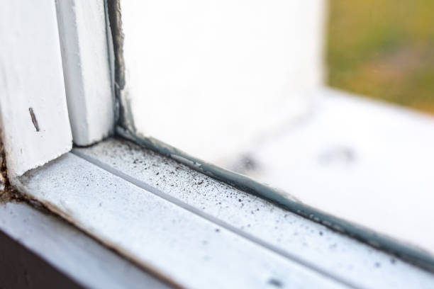 Best Commercial Mold Inspection  in Yosemite Valley, CA