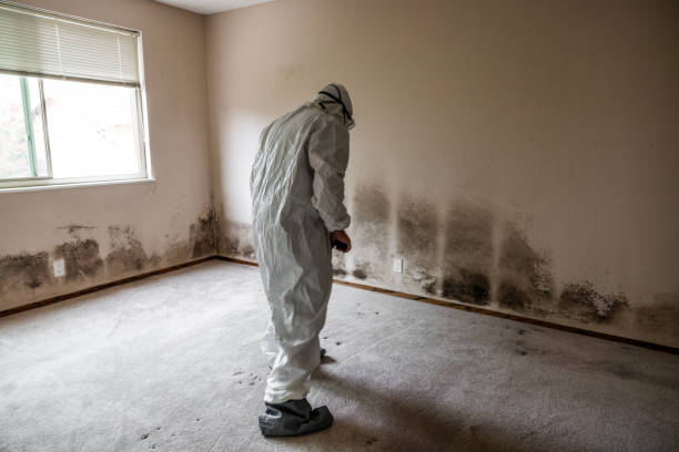 Best HVAC Mold Inspection and Cleaning  in Yosemite Valley, CA